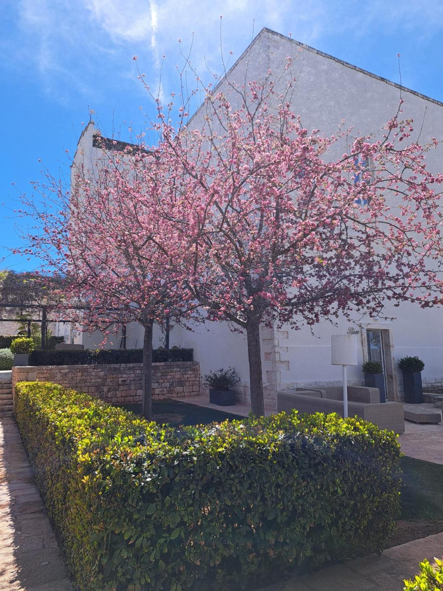 Relais Il Santissimo Hotel Turi Exterior foto